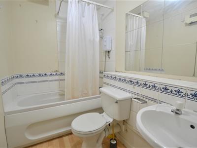 Picture 8